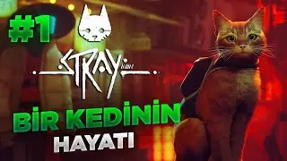 BİR KEDİNİN HİKAYESİ - STRAY TÜRKÇE BÖLÜM 1