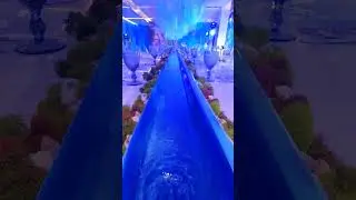 PXL 20220727 185904611
