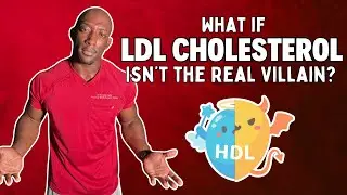 Heart Disease: What if LDL Cholesterol Isn’t the Real Villain? 👼😈