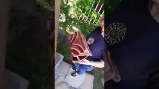 Вот такие сделал кормушки. Они в наличии и можно под заказ!!!  😊🐦🏠