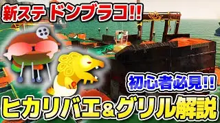 【難関ステージ】ドンブラコのヒカリバエ&グリル攻略法！初心者必見の誰でも分かる解説!!【サーモンランNEXTWAVE/スプラトゥーン3】