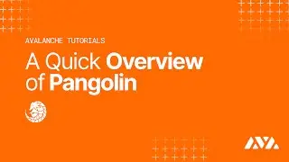 A Quick Overview of Pangolin | Avalanche Tutorials