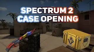 CSGO Spectrum 2 Case Opening in 2020