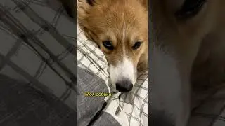 ТЕСТ НА ДОВЕРИЕ😳👀 