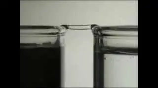 Свойства воды. Водяной мостик