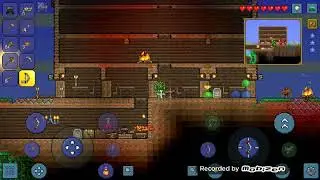 Прохождение Terraria (выпала зазубренное ожерелье из акульих зубов эта редкая вещь)