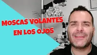 🔊 Moscas Volantes | CAUSAS | SÍNTOMAS Y TRATAMIENTOS