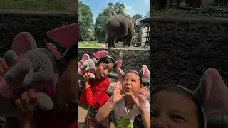 Emang Enak,Kamu Gak Punya Boneka Gajah😛 #ceritarakyat #shortvideos #bawangmerahbawangputih