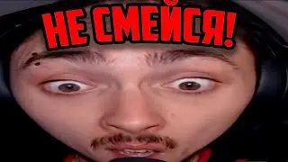 😹😹😹