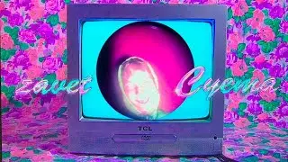 zavet  - суета клип 2020