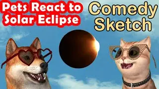 How Pets React to Solar Eclipse (3D Comedy)