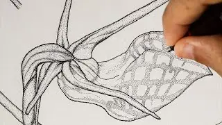 Time-lapse illustration of a Cryptostylis orchid drawn by Alastair Robinson