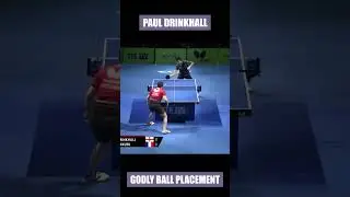 Paul Drinkhall GODLY BALL PLACEMENT! #shorts #tabletennis