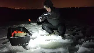 судак на жерлицы