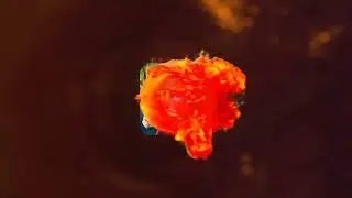 YouTube intro
