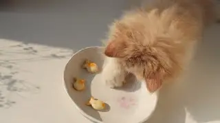 The easiest way to make a ceramic bowl at home