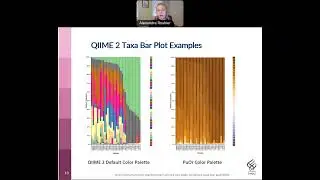 "Evaluating microshades Color Palette Accessibility for Color Vision Deficiency"