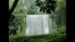 POPURRY,,,ALABARE,HOY SEÑOR  TE DAMOS GRACIAS,,,,,DIOS ESTA AQUI FERNANDO ,,,,,KUREZYN,,,SADURNI
