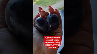#Единственный