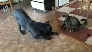 Юська объясняет Фимке кто здесь главный!