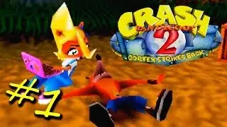 Hodgepodgedude прохождение Crash Bandicoot 2 [PSOne, HD, перевод] #1