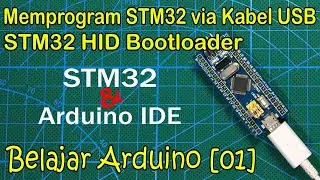 Belajar STM32 & Arduino IDE [01]: Upload Sketch & Instal HID Bootloader Via STlink dan USB-TTL
