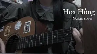 HOA HỒNG - Hà Anh Tuấn / Guitar cover by TLyng