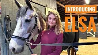 Some Le Mieux goodies for Elsa and Barn try on haul with Willow Hand