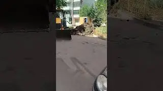 Свершилось чудо 