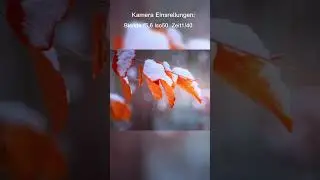 Mit einer Alten Spiegelreflex Kamera im Schnee Fotografieren