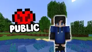 PUBLIC Lifesteal SMP (Free to Join)