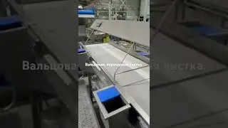 Приемка корундовой, 8-ми вальцовой чистки для корнеплодов.