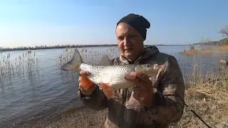 Рыбалка с Берега на Реке Ловля Голавля на Донки Закидушки