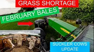 GRASS SHORTAGE - OPENING SILAGE - SUCKLER COWS