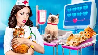 Extreme Pet Rescue in Hospital! Cat Gave Birth to Kittens!