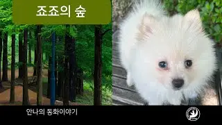 죠죠의 숲 | 안나의 동화이야기