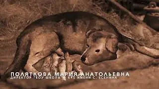 Есенин 128