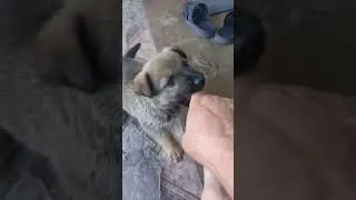 Буран в деле