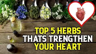 top 5 Herbs that strengthen your heart
