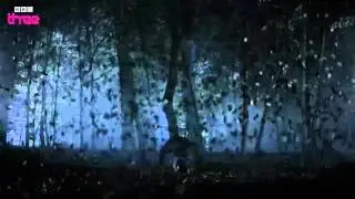 The Fades Are Coming: Birds