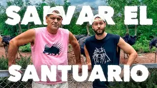 SALVAR EL SANTUARIO DE FRANK 💚 DIRECTO 24H 💚
