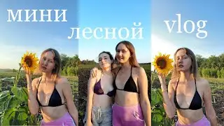 мини лесной vlog 🌻