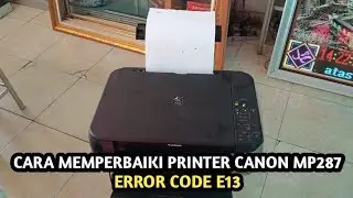 printer Canon mp287 error code e13