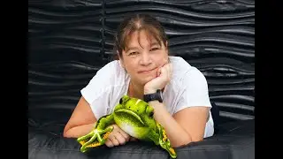 Теория вероятности в ЕГЭ по биологии