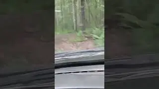/14 в деле