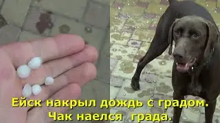 Ейск накрыл дождь с градом. Чак наелся  града.