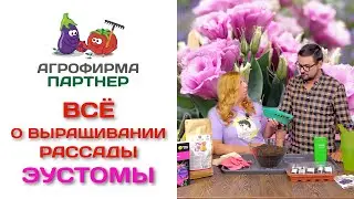 Все о выращивании рассады эустомы. Советы Марины Рыкалиной и Виталия Декабрева