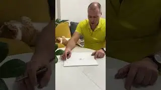 Точки схода