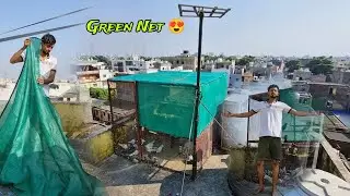Jaal Pe Green Net Lga Diya 😍
