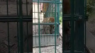 Як все дістало!@